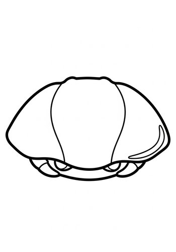 Sea Turtle Coloring Page: Marine Fun