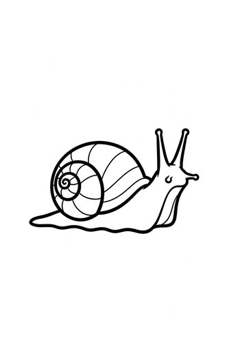 Snail Coloring Adventure: Ready To Slime