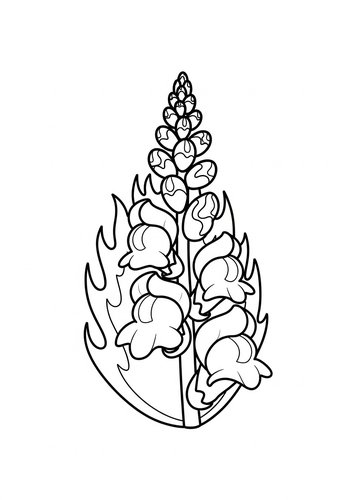 Snapdragon Flower Coloring Page Fun