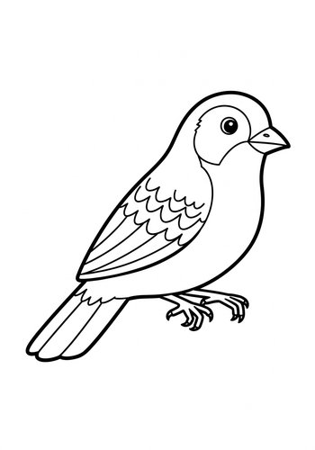 Coloring Page: Sparrow Coloring Page: A Bird's-eye View