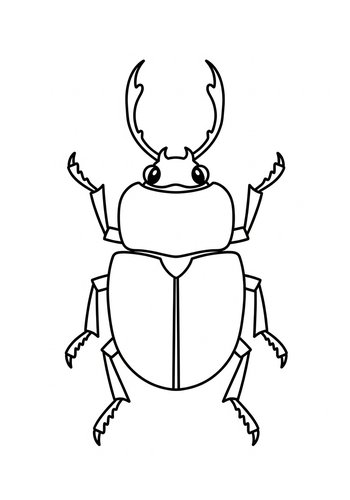 Stag Beetle Coloring Adventure