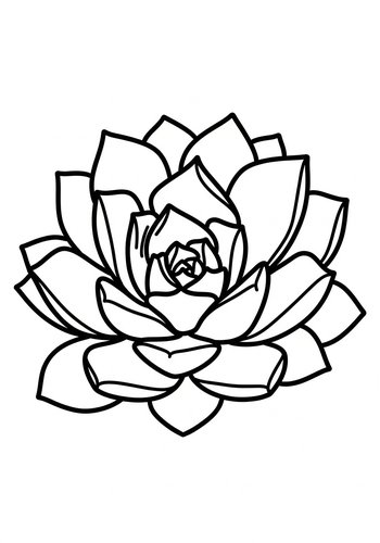 Succulent Coloring Page: A Desert Delight