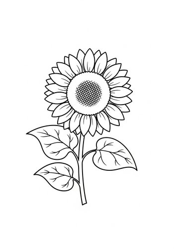 Sunflower Coloring Page: A Sunny Day Activity