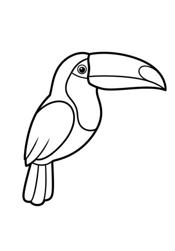 Toucan Coloring Page - Printable Fun
