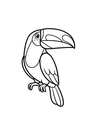 Toucan Coloring Page For Kids
