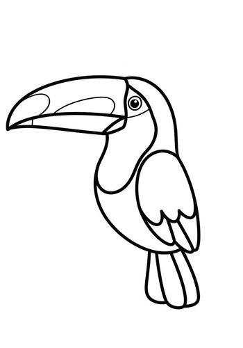 Toucan Coloring Page Fun