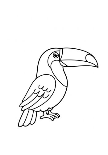 Toucan Coloring Page: Tropical Bird Outline