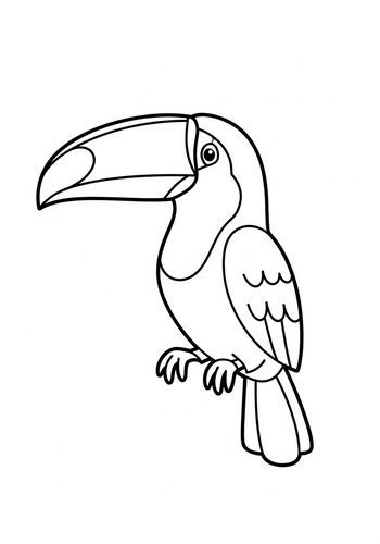 Tropical Toucan Coloring Page For Kids