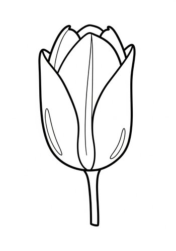 Tulip Bud Coloring Page: Printable Floral Fun